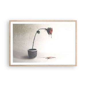 Poster in cornice rovere chiaro - Rosa dolorosa - 91x61 cm
