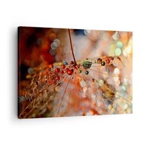 Quadro su tela - Stampe su Tela - Macrofotografia di una goccia d'acqua su una pianta delicata - 70x50cm - Posate sulla ragnatela - Decorazione murale moderna per soggiorno e camera da letto ARTTOR