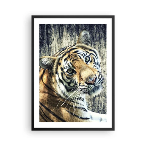 Poster in cornice nera - Primo piano di una tigre contro un muro naturale - 50x70cm - Ritratto nei flussi di luce - Decorazione murale moderna per soggiorno e camera da letto ARTTOR