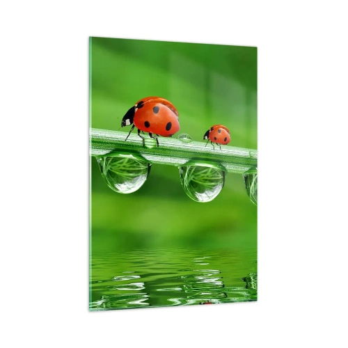 Quadro su vetro - Coccinelle su un filo d'erba con gocce di rugiada in un ambiente naturale - 80x120cm - In cammino per tutta l'estate - Decorazione murale moderna per soggiorno e camera da letto ARTTOR