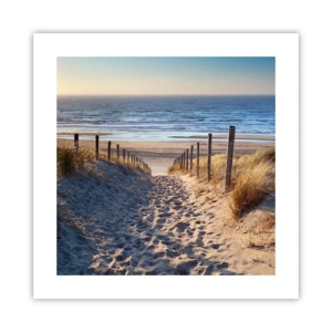 Poster - Rumore del mare, uccelli che cantano, spiaggia selvatica tra i cespugli... - 40x40 cm