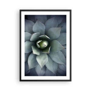 Poster in cornice nera - Primo piano delle foglie simmetriche di una succulenta nelle tonalità del verde. - 50x70cm - Adesca e minaccia - Decorazione murale moderna per soggiorno e camera da letto ARTTOR