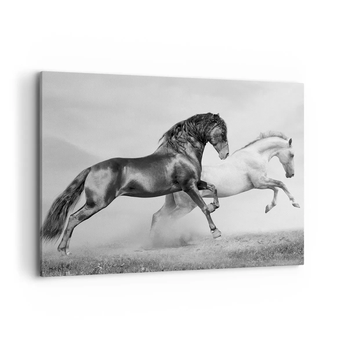Quadro su tela - Stampe su Tela - Due cavalli al galoppo in una composizione dinamica in bianco e nero - 100x70cm - Angeli e demoni - Decorazione murale moderna per soggiorno e camera da letto ARTTOR