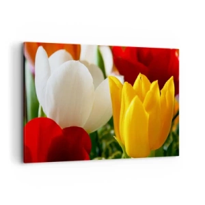 Quadro su tela - Stampe su Tela - Primo piano di tulipani colorati su uno sfondo primaverile - 120x80cm - La febbre dei tulipani - Decorazione murale moderna per soggiorno e camera da letto ARTTOR