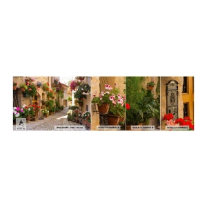 Campione di Fotomurale Adesivo Deluxe Sticker - Un'esplosione di fiori - Città, Italia, Belle strade - 100x30 cm