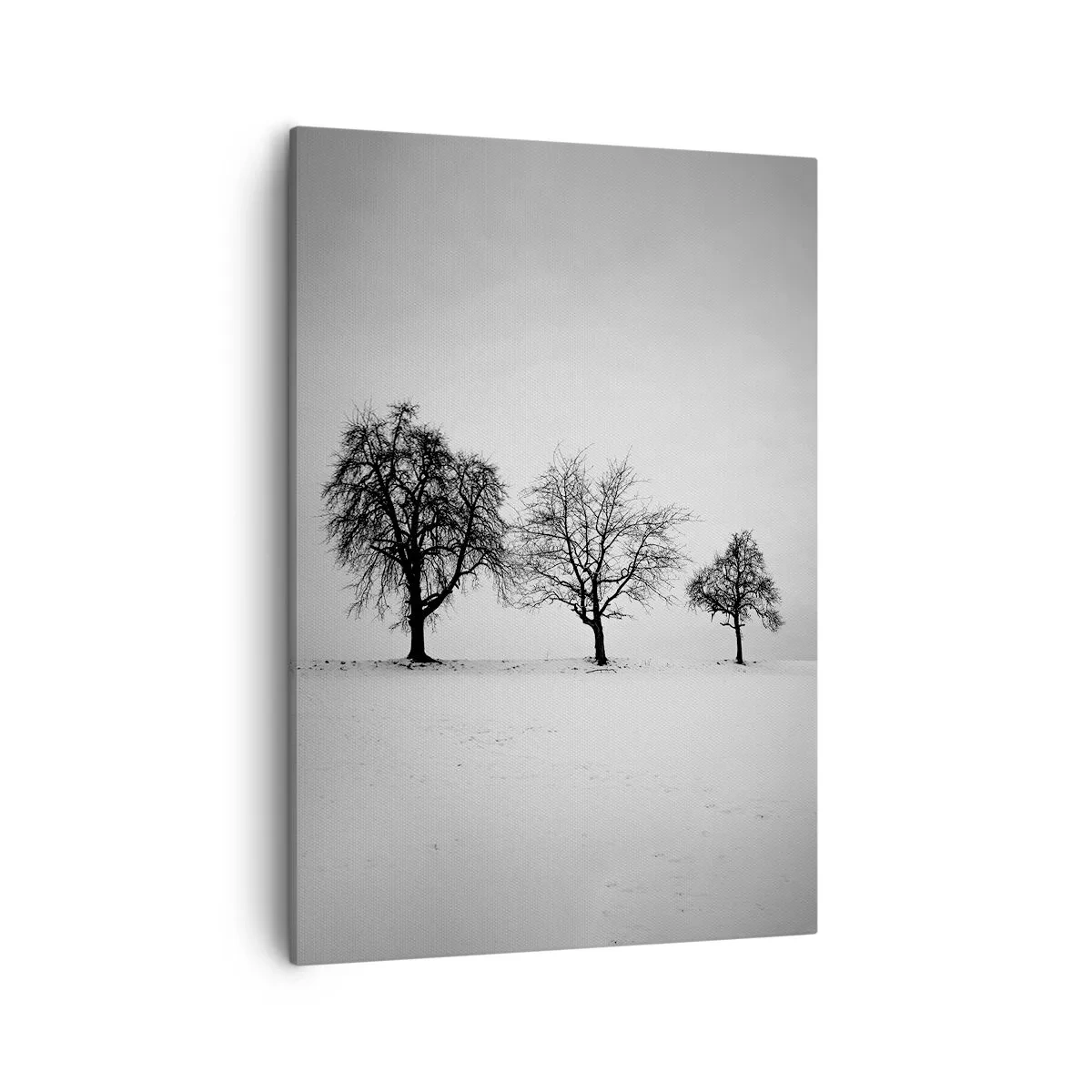 Quadro su tela - Stampe su Tela - Tre alberi in un campo innevato in stile monocromatico - 50x70cm - Cosa sognano? - Decorazione murale moderna per soggiorno e camera da letto ARTTOR
