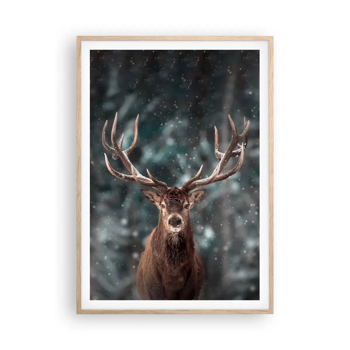 Poster in cornice rovere chiaro - Il re del bosco incoronato - 70x100 cm