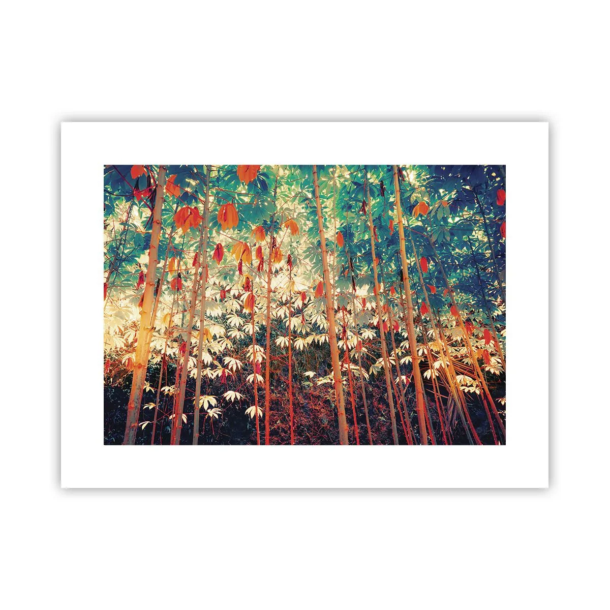 Poster - La vita segreta delle foglie - 40x30 cm