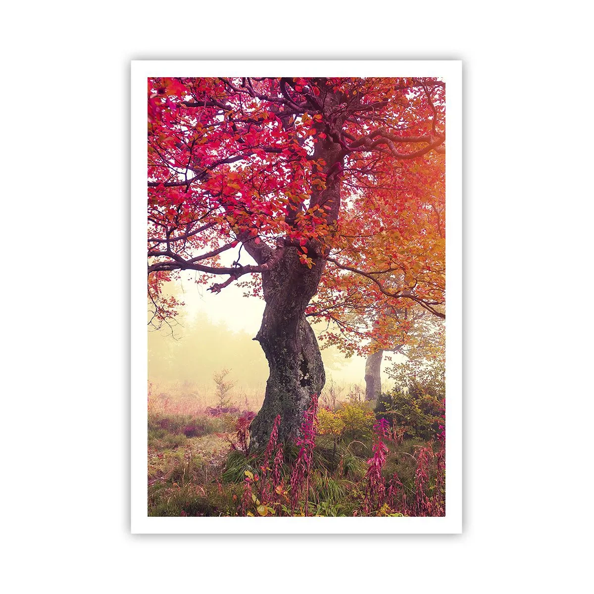Poster - L'esplosione della fioritura - 70x100 cm