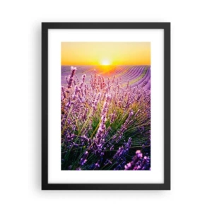 Poster in cornice nera - Campo profumato - 30x40 cm