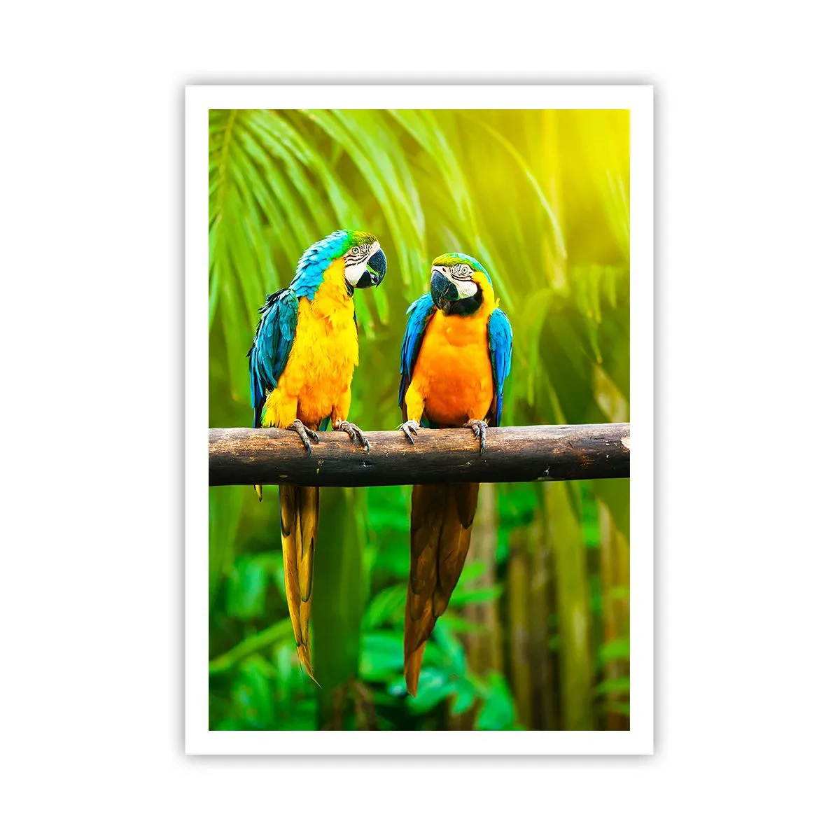 Poster - Hai sentito che ha fatto? - 70x100 cm