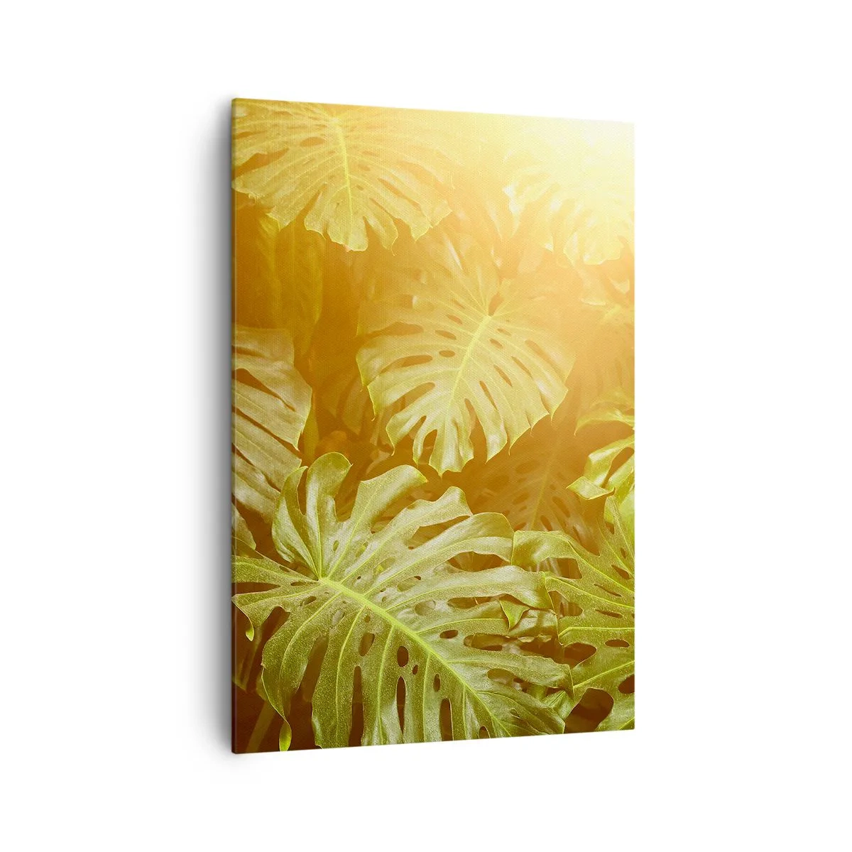 Quadro su tela - Stampe su Tela - Foglie di Monstera alla luce del sole su uno sfondo naturale - 70x100cm - Entrando nel verde... - Decorazione murale moderna per soggiorno e camera da letto ARTTOR
