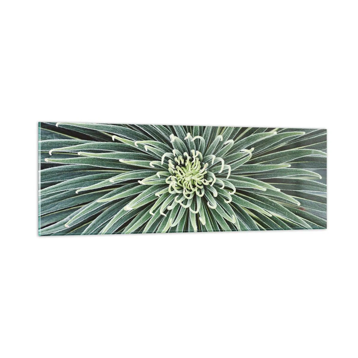 Quadro su vetro - La nascita delle stelle - 90x30 cm