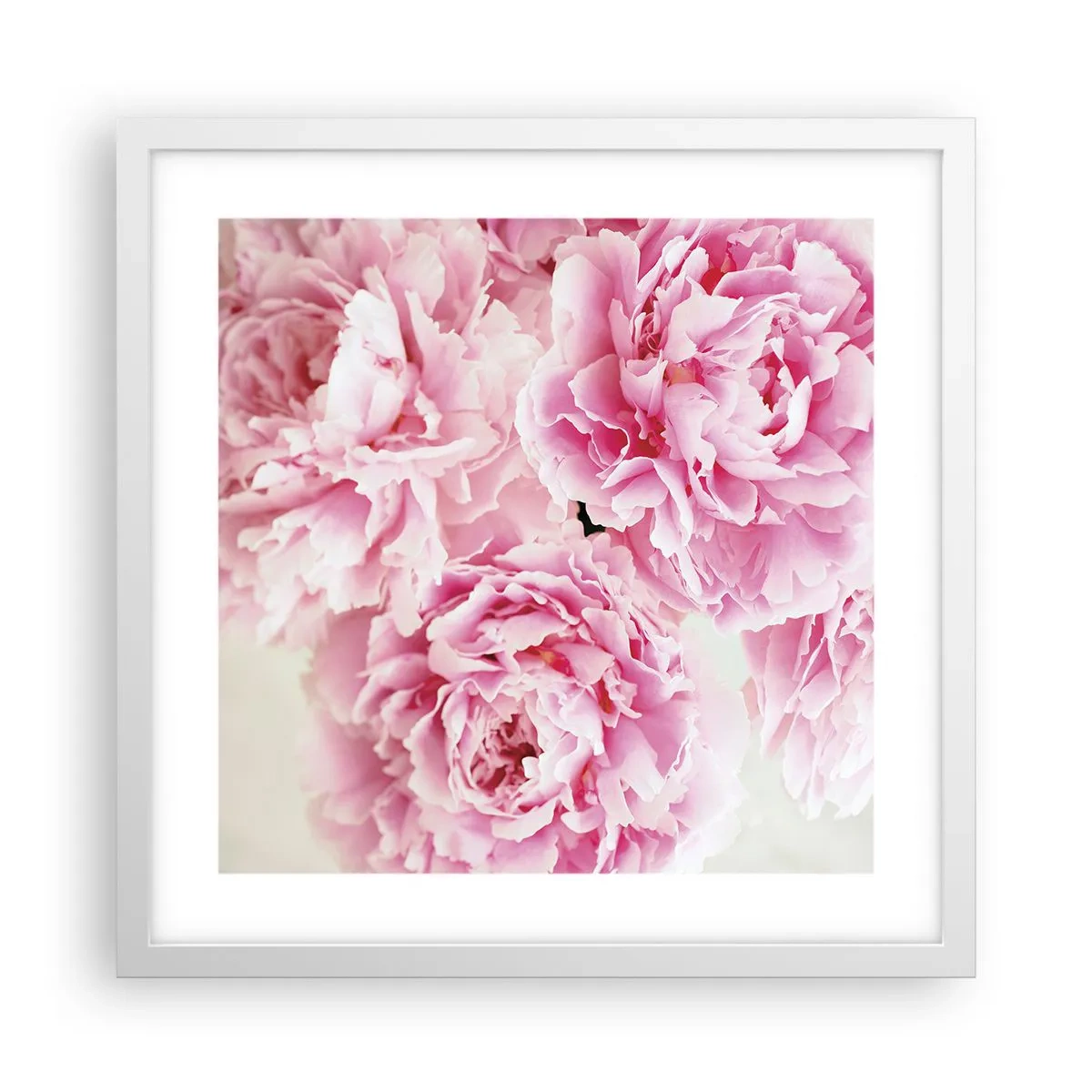 Poster in cornice bianca - Nel fasto rosa - 40x40 cm