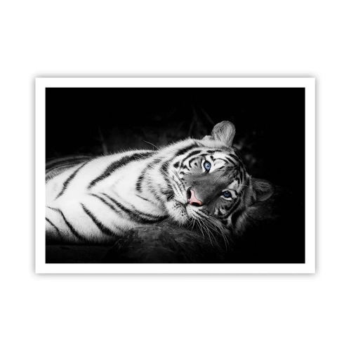 Poster - Una tigre bianca artisticamente raffigurata su uno sfondo nero - 100x70cm - Selvaggità e pace - Decorazione murale moderna per soggiorno e camera da letto ARTTOR