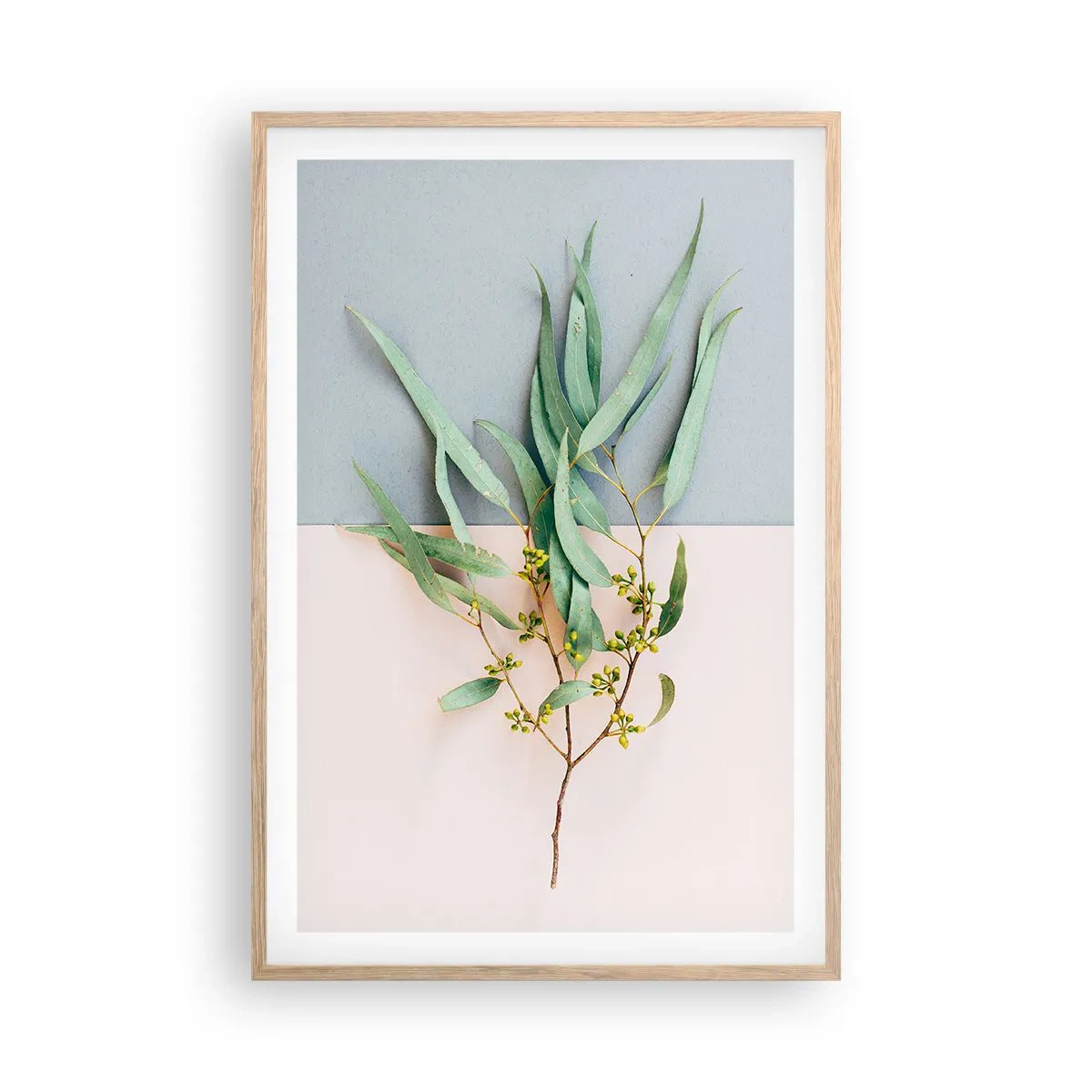 Poster in cornice rovere chiaro - Delicatezza pastello - 61x91 cm