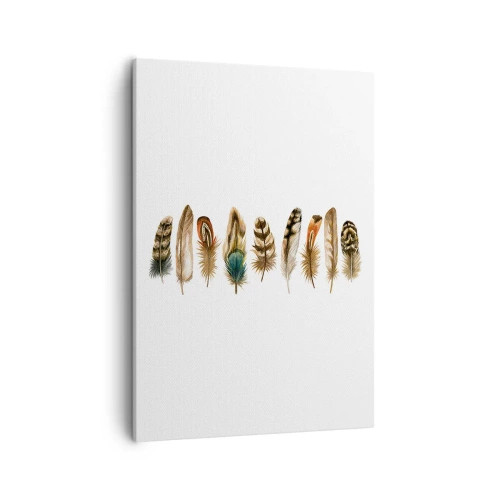 Quadro su tela - Stampe su Tela - Motivo decorativo di una raccolta di piume varie - 50x70cm - Composizione di piume - Decorazione murale moderna per soggiorno e camera da letto ARTTOR