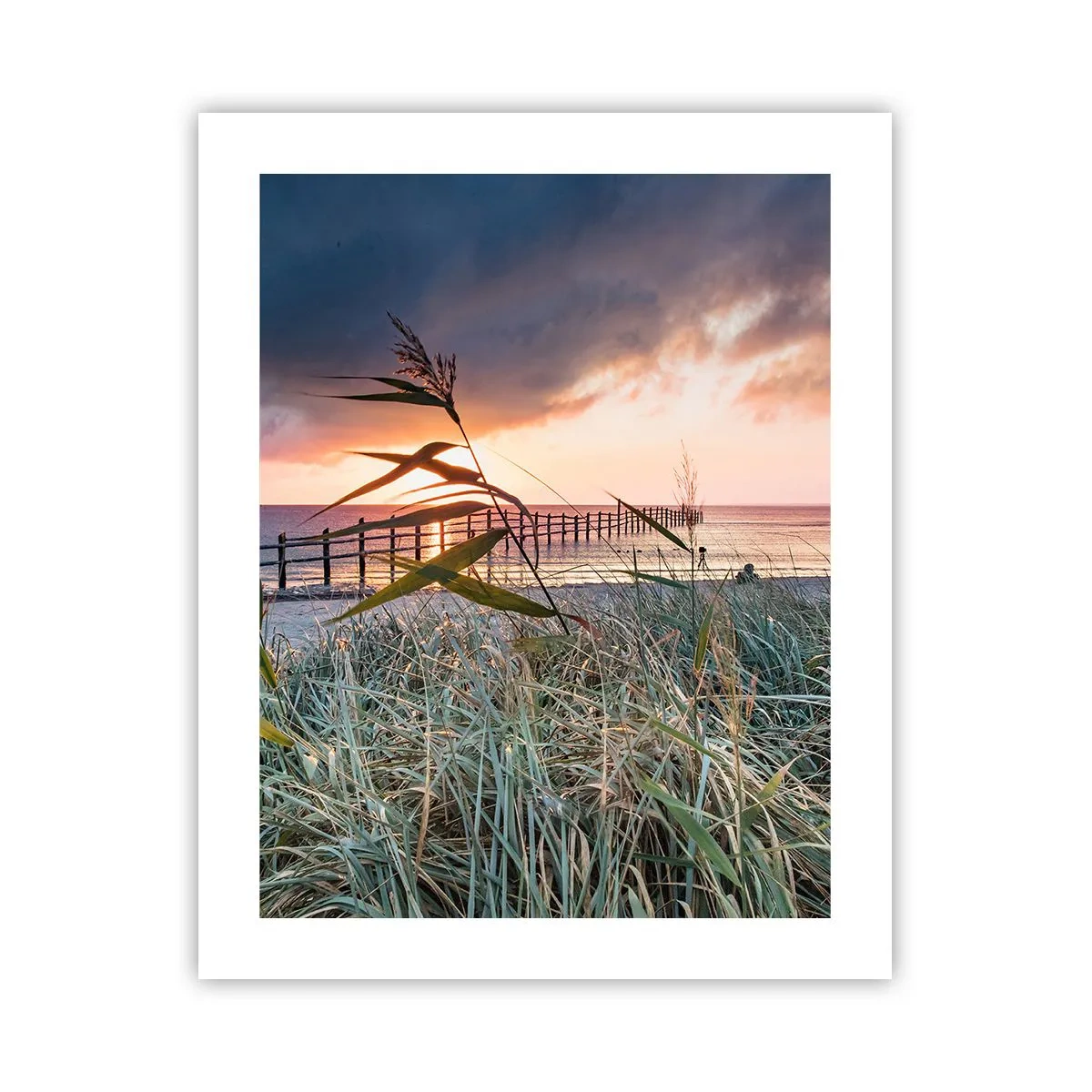 Poster - Non andrà via col vento - 40x50 cm