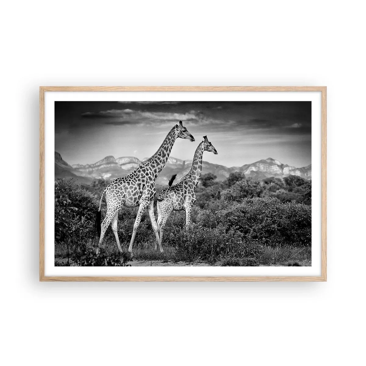 Poster in cornice rovere chiaro - Alta classe in Africa - 91x61 cm