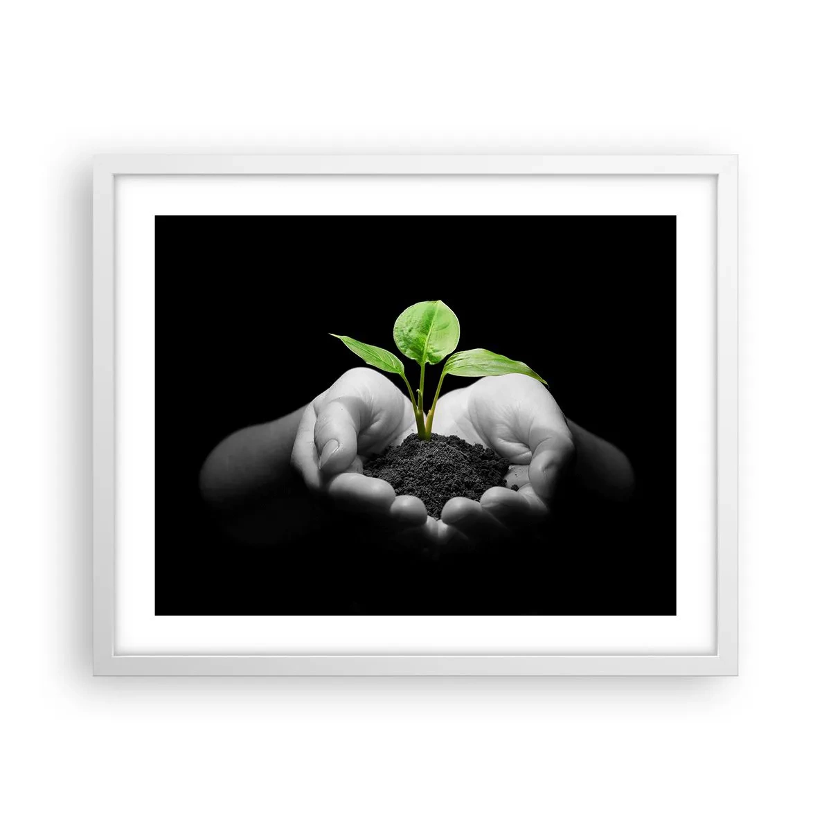 Poster in cornice bianca - Amo la natura, la proteggo - 50x40 cm