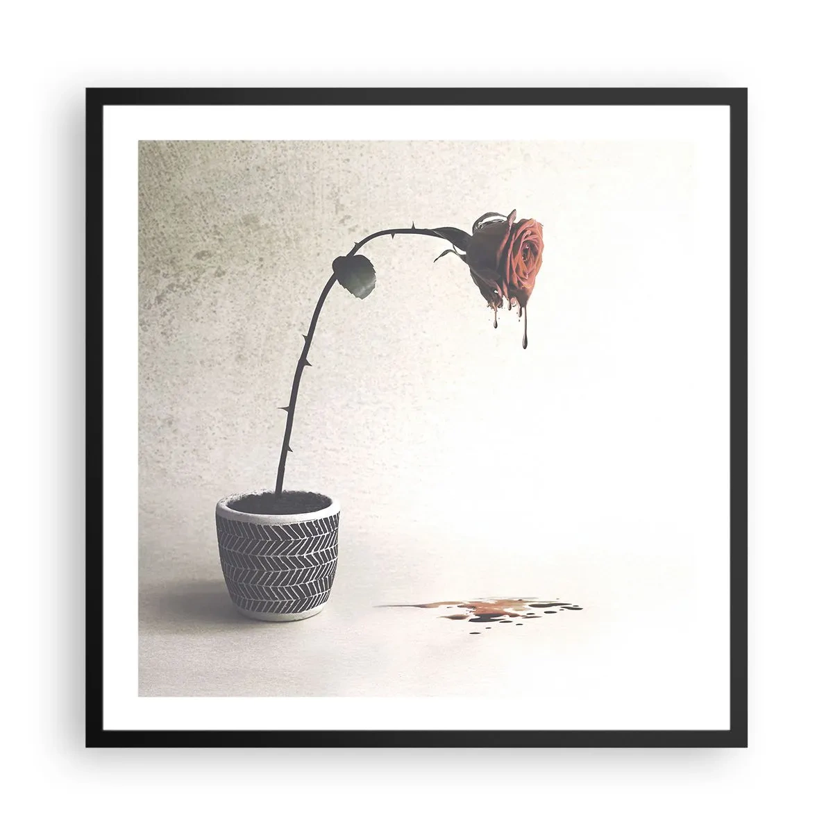 Poster in cornice nera - Rosa dolorosa - 60x60 cm