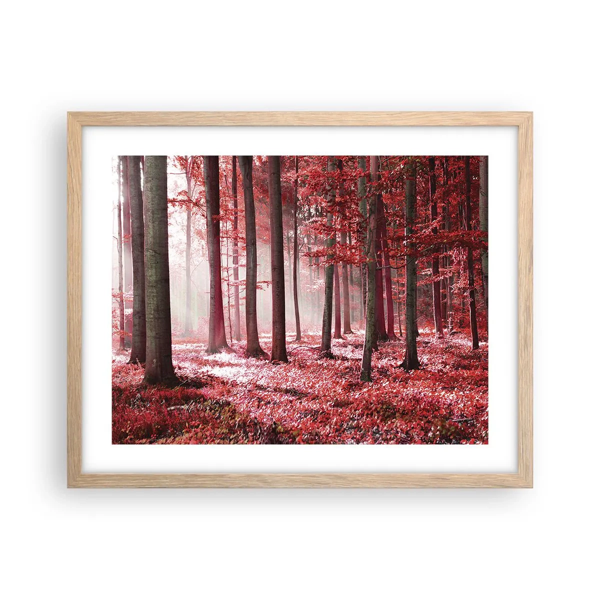 Poster in cornice rovere chiaro - Anche rosso è bello - 50x40 cm