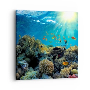 Quadro su tela - Stampe su Tela - Tesori sotto al mare - 30x30 cm