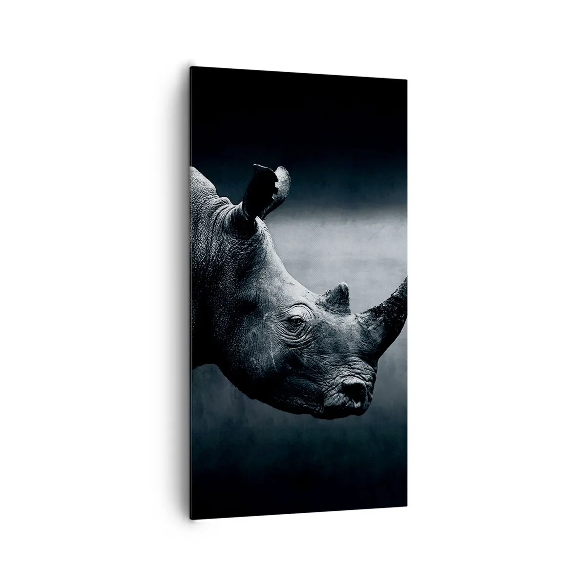 Quadro su tela - Stampe su Tela - Profilo destro - 65x120 cm