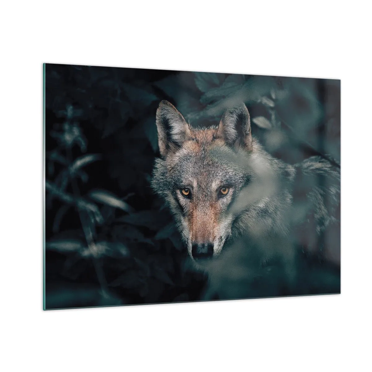 Quadro su vetro - Un lupo osserva vigile dal suo nascondiglio nel folto della foresta - 100x70cm - Cacciatore - Decorazione murale moderna per soggiorno e camera da letto ARTTOR
