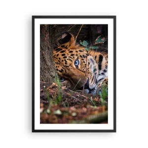 Poster in cornice nera - Un leopardo sdraiato con intensi occhi blu - 50x70cm - Fidati di me - Decorazione murale moderna per soggiorno e camera da letto ARTTOR