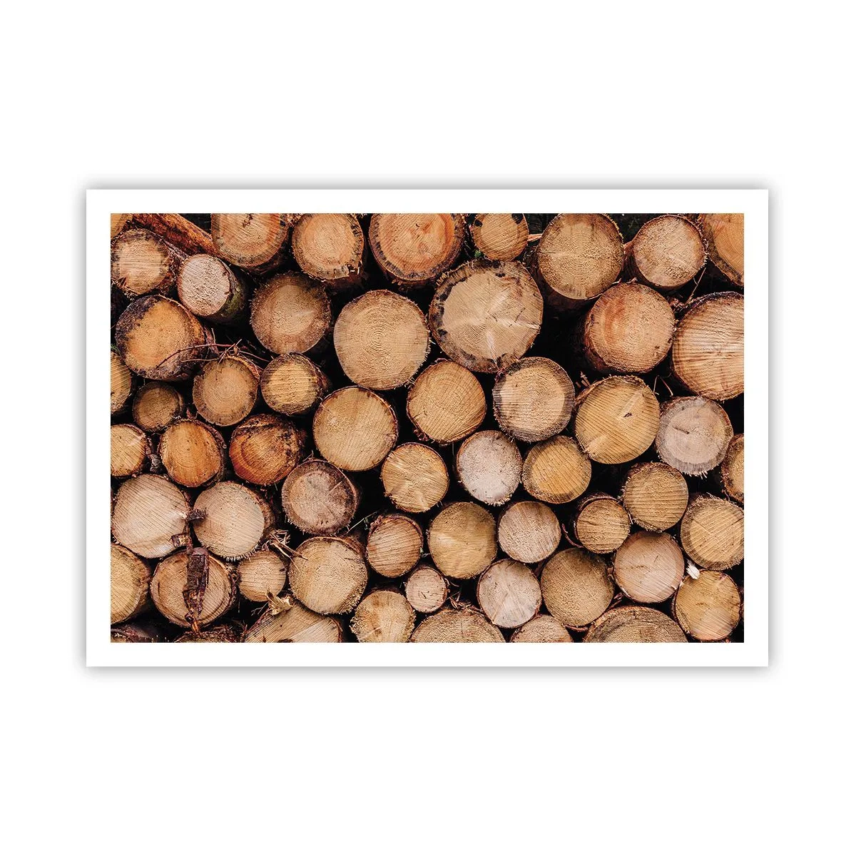 Poster - Mucchi di tronchi d'albero abbattuti disposti in armonia - 100x70cm - Nuovo inizio - Decorazione murale moderna per soggiorno e camera da letto ARTTOR