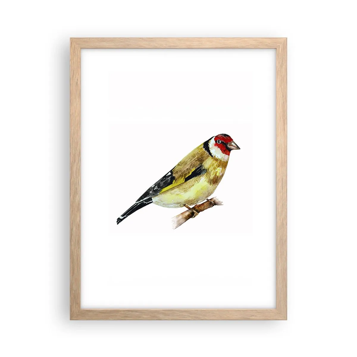 Poster in cornice rovere chiaro - Ritratto di uccello - 30x40 cm