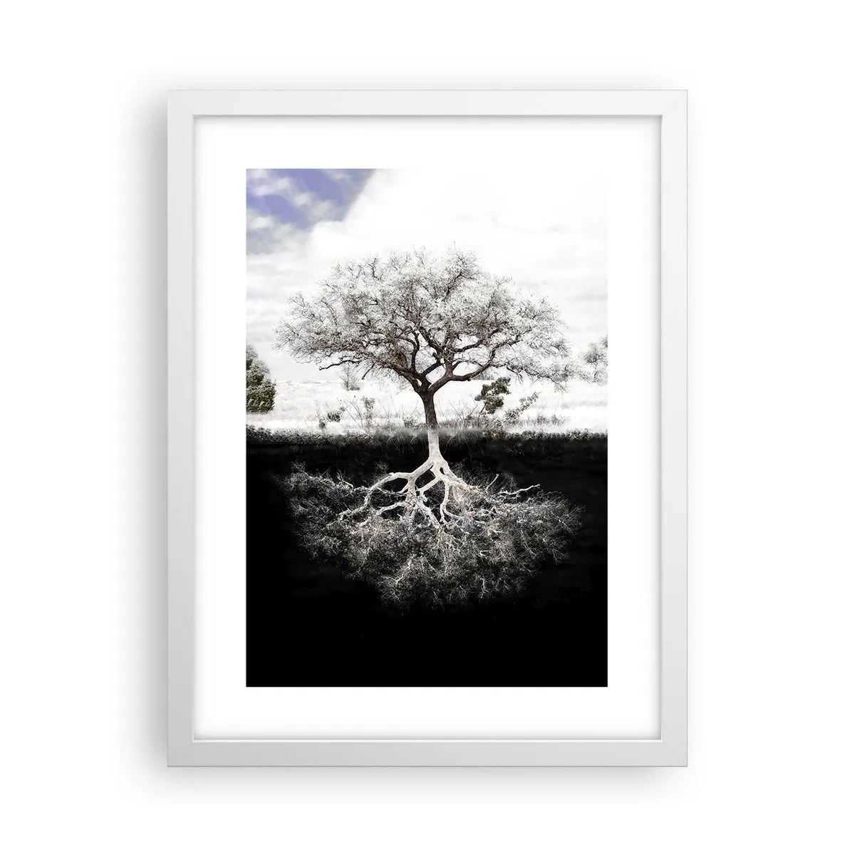 Poster in cornice bianca - La scoperta della natura del mondo - 30x40 cm