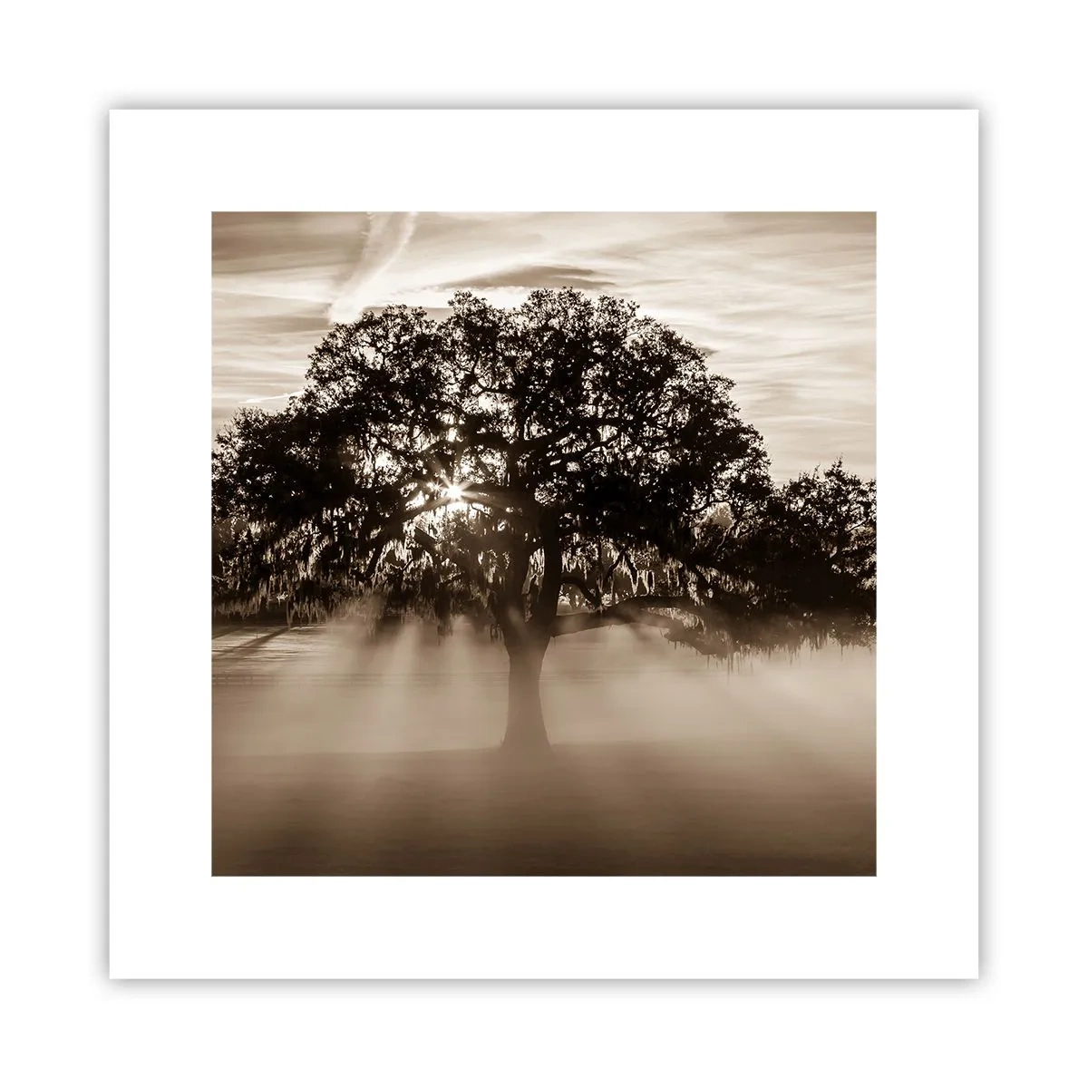 Poster - L'albero delle sole buone notizie - 30x30 cm