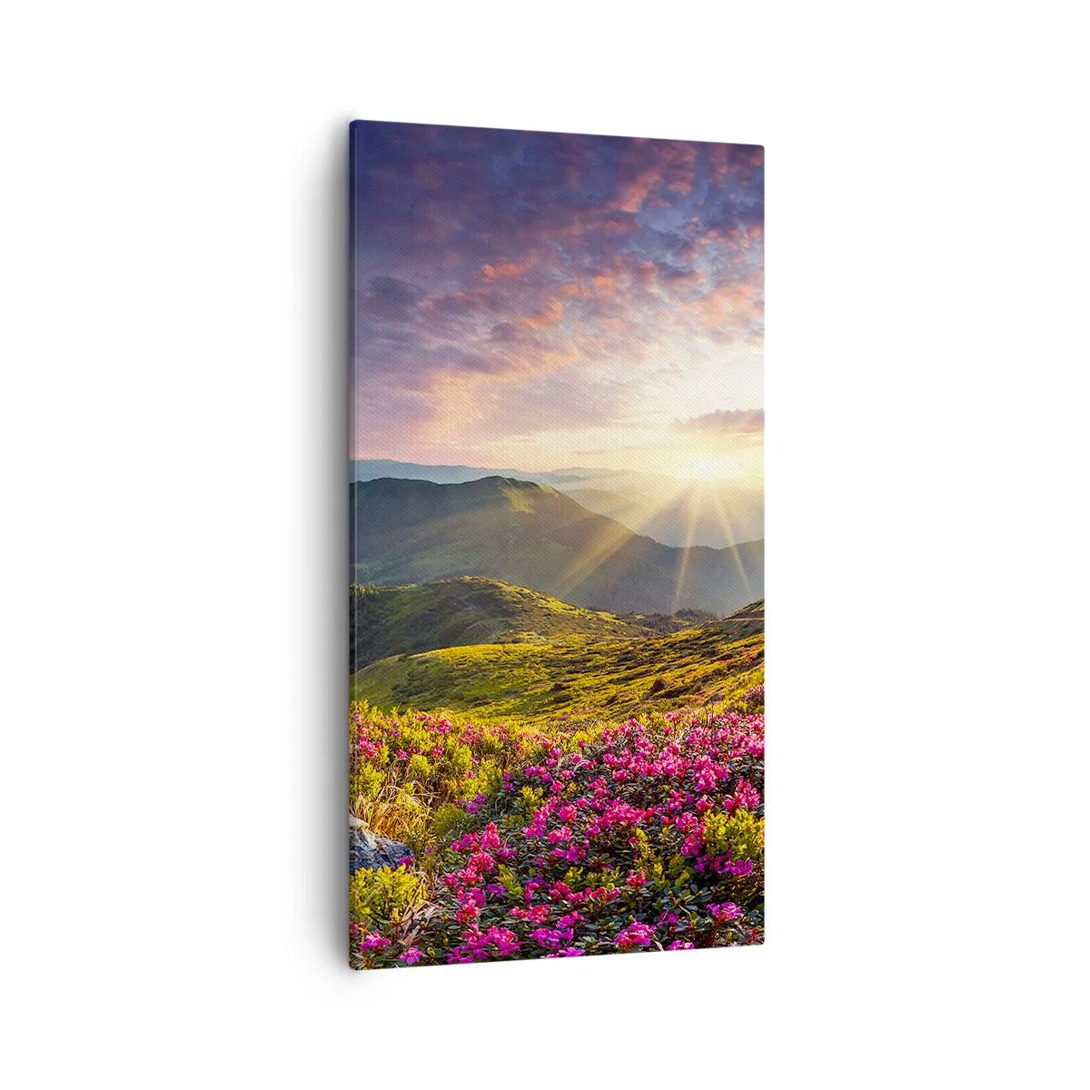 Quadro su tela - Stampe su Tela - La freschezza di un mattino sui monti - 55x100 cm