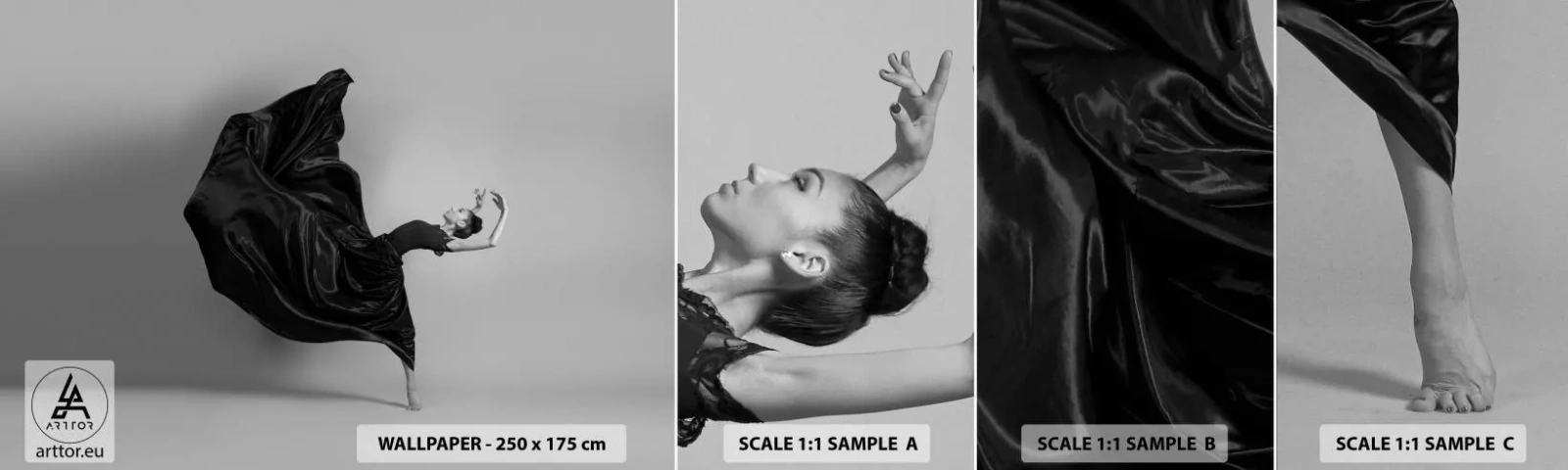 Campione Di Fotomurale Standard Eco - Musica alata - Danza, Donna, Ballerino - 100x30 cm