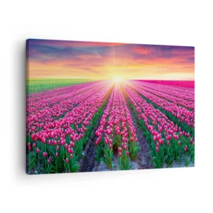 Quadro su tela - Stampe su Tela - Un campo di tulipani al tramonto - 70x50cm - La fattoria della bellezza - Decorazione murale moderna per soggiorno e camera da letto ARTTOR