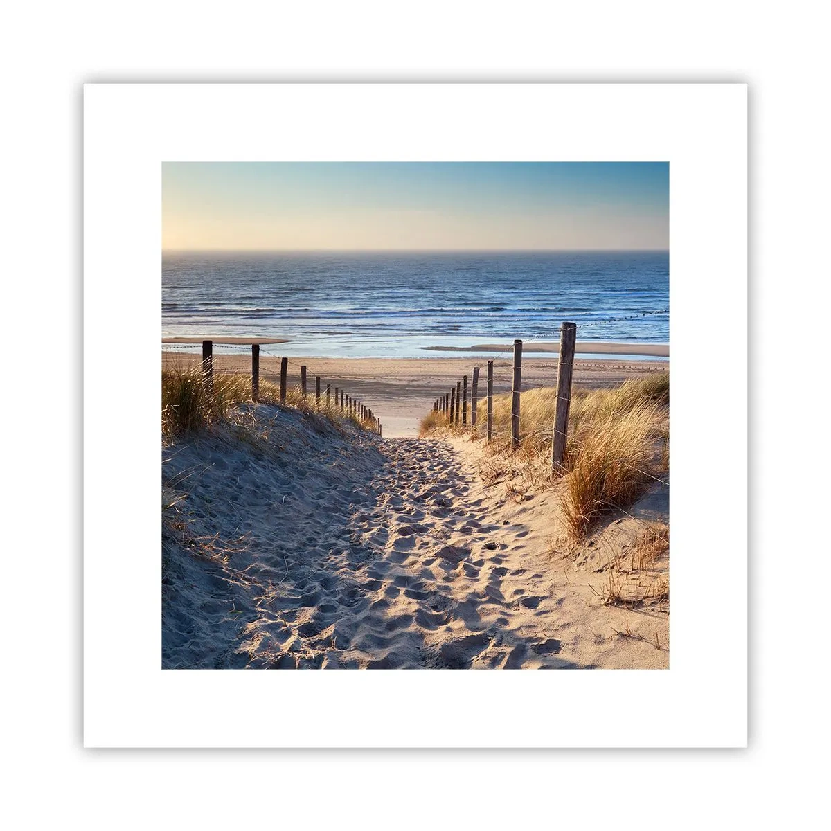 Poster - Rumore del mare, uccelli che cantano, spiaggia selvatica tra i cespugli... - 30x30 cm