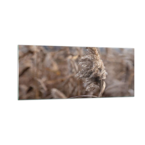 Quadro su vetro - è tempo di volare col vento - 100x40 cm