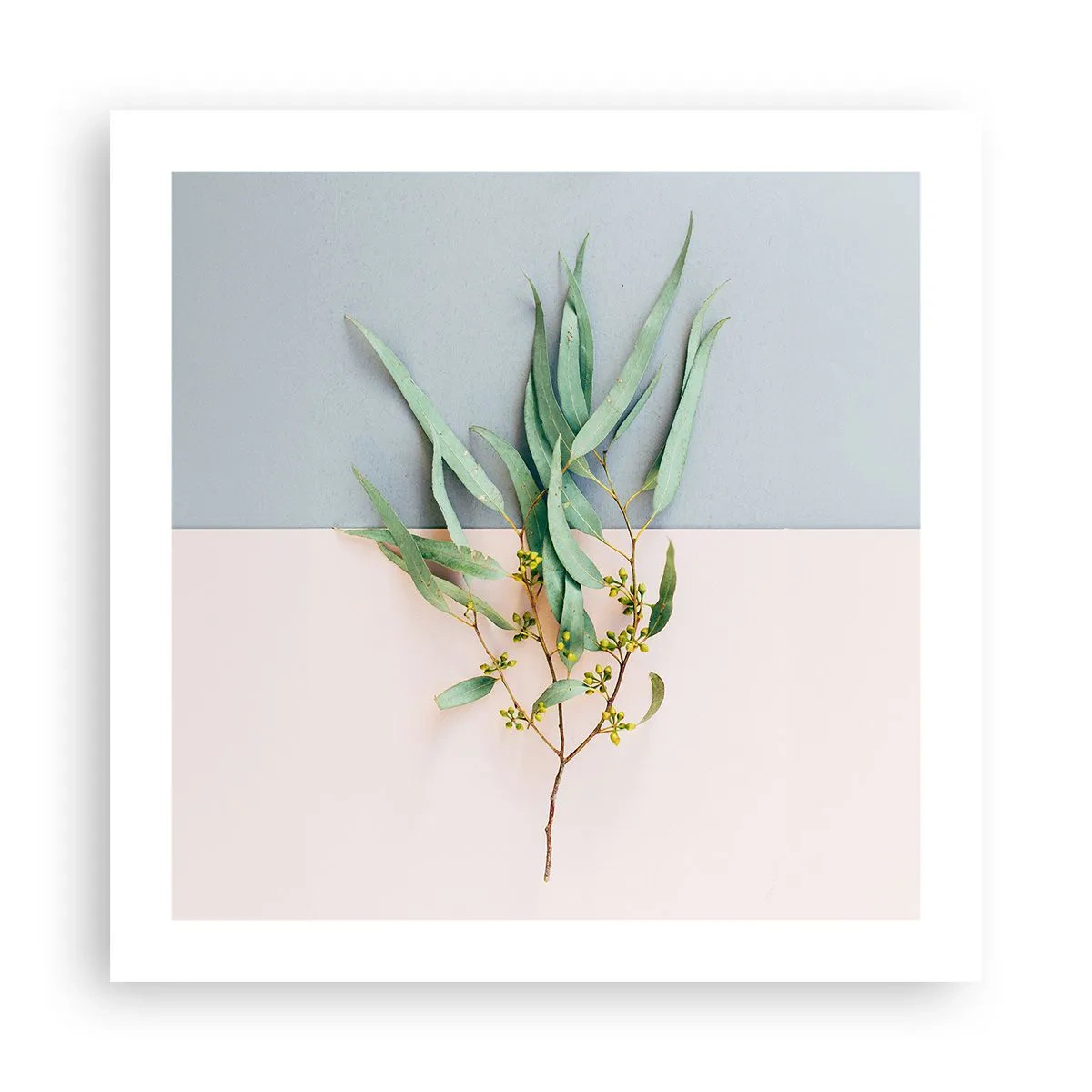 Poster - Delicatezza pastello - 50x50 cm