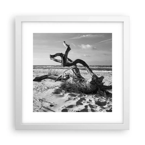 Poster in cornice bianca - Scolpito dal mare - 30x30 cm