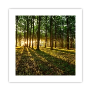 Poster - La foto di ogni primavera - 40x40 cm