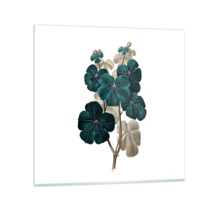 Quadro su vetro - Dal vecchio erbario - 60x60 cm