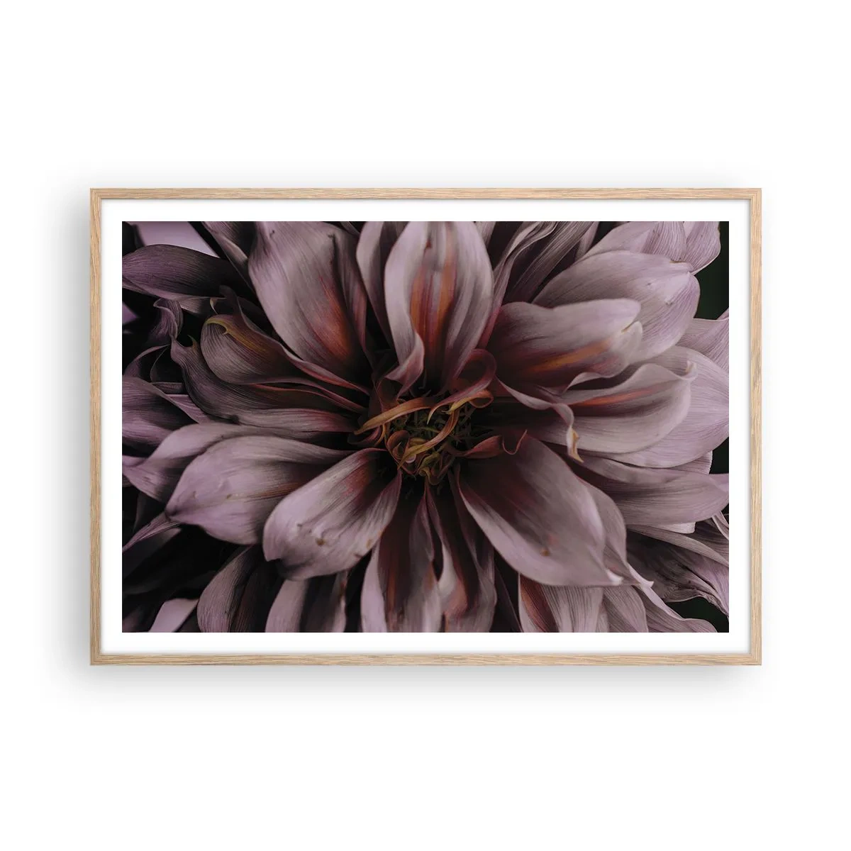 Poster in cornice rovere chiaro - Cuore d'aprile - 100x70 cm