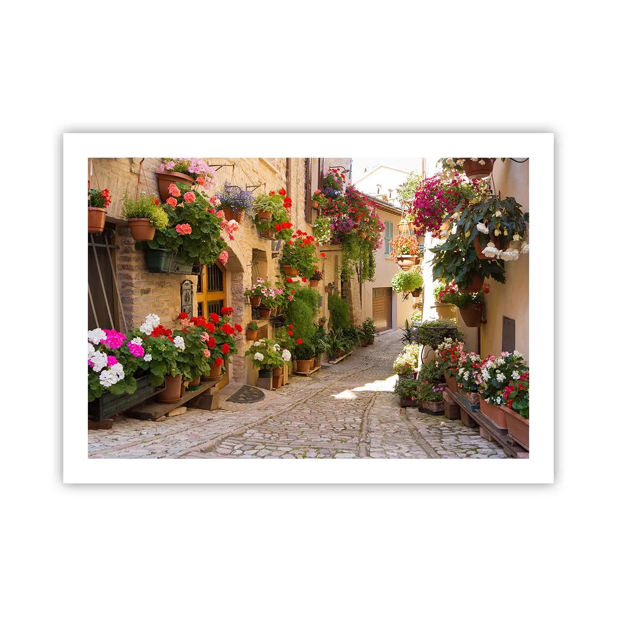 Poster - Un'esplosione di fiori - 70x50 cm