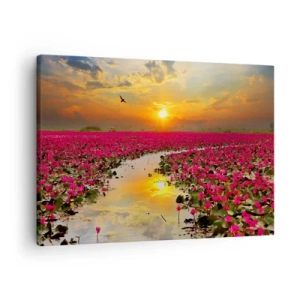 Quadro su tela - Stampe su Tela - Un campo di ninfee rosa al tramonto - 70x50cm - La vita segreta del lago - Decorazione murale moderna per soggiorno e camera da letto ARTTOR