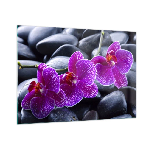 Quadro su vetro - Orchidee viola su uno sfondo di pietre lisce - 100x70cm - Le pietre brillano di ammirazione - Decorazione murale moderna per soggiorno e camera da letto ARTTOR