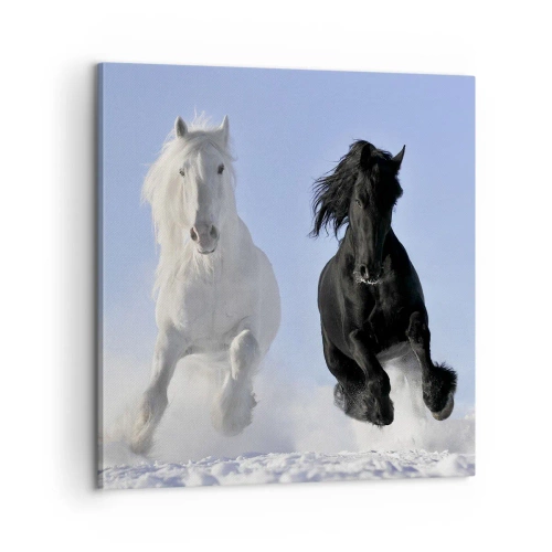 Quadro su tela - Stampe su Tela - Galoppo in bianco e nero - 60x60 cm