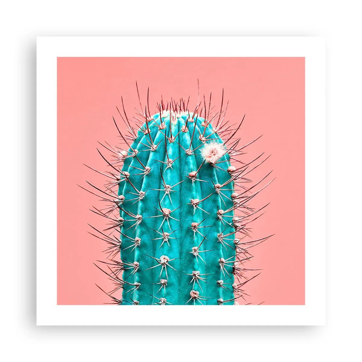 Poster - Stai attento - 50x50 cm