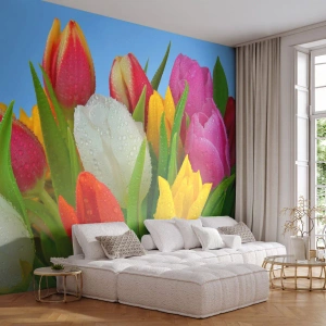 Fotomurali Premium Sand - Tulipani colorati ricoperti di gocce di rugiada contro il cielo - 100x70cm - Fiori multicolori nella rugiada - Decorazione murale moderna per soggiorno e camera da letto ARTTOR